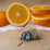 Functional Tea Variety Pack by Wise Ape