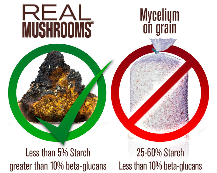 Real Mushroom Extracts - Chaga & Cordyceps